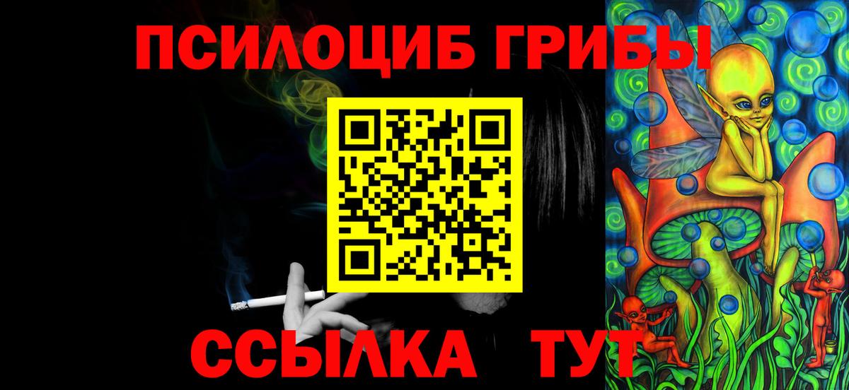 Псилоцибиновые грибы мицелий Горно-Алтайск