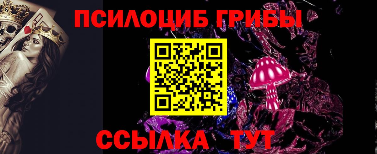 купить закладку  Вход с VPN  Галлюциногенные грибы Psilocybe  Горно-Алтайск  Галлюциногенные грибы мухоморы 
