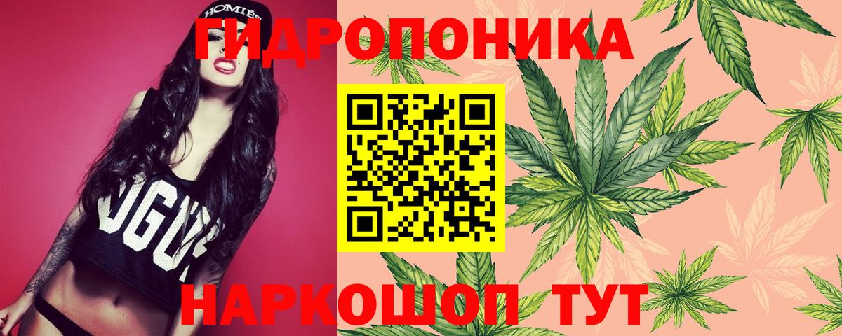 Бошки Шишки ГИДРОПОН  Канабис тримм  Вход с VPN  Горно-Алтайск 